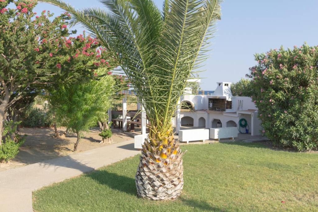Renes Paradise Seahome - Afandou Beach, Rhodes Κολύμπια Εξωτερικό φωτογραφία